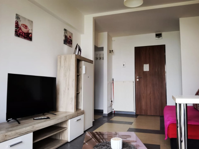 Apartament nou, 1 camera  semidecomandat,  36 mp, Podu Ros, de vanzare,  (Podu Ros - bld.Nicolae Iorga) 148446