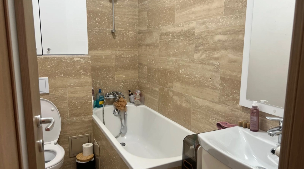 Oferta De inchiriat apartament, 2 camere, open-space, 38 mp, Nicolina,  Prima Statie imagine 2