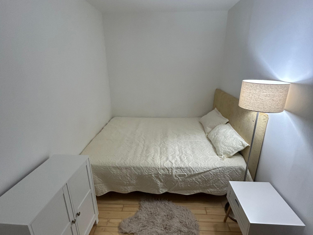 2 camere,  nedecomandat,  38 mp, de inchiriat apartament in zona Alexandru cel Bun,  (Piata Voievozilor) 161998