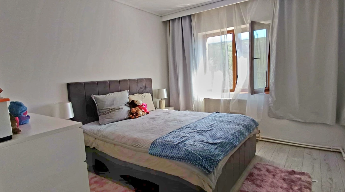 Oferta De vanzare casa, 5 camere, 333 mp, Aroneanu,  Langa Padure- cu  6381 teren  imagine 9