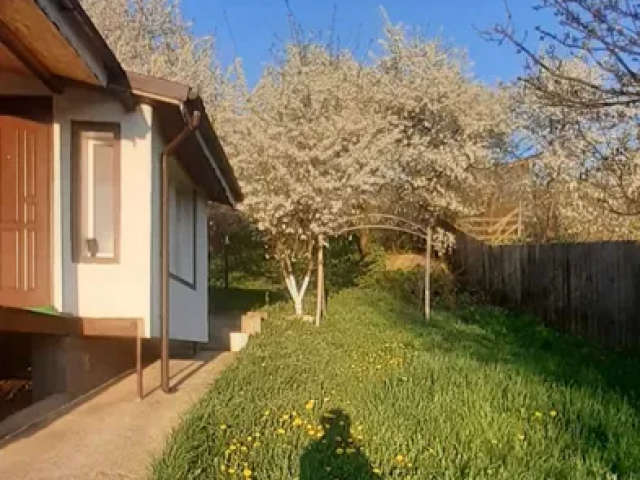 Casa, 4 camere, 100mp, Dobreni, de vanzare,  (Sarata ) 162341
