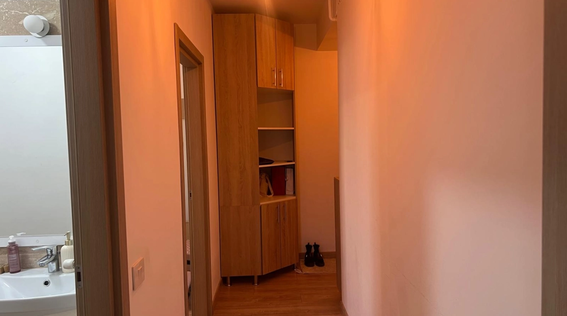Oferta De inchiriat apartament, 2 camere, open-space, 38 mp, Nicolina,  Prima Statie imagine 3