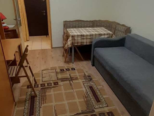 De inchiriat apartament, 1 camera,  garsoniera,  24 mp, Tudor Vladimirescu,  (la 5 min de Iulius Mall) 163477