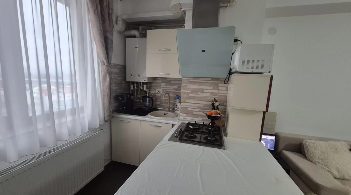 Oferta Pacurari apartament 45 mp, 2 camere, open-space, de vanzare,   Petru Poni -Concept Residence imagine 8