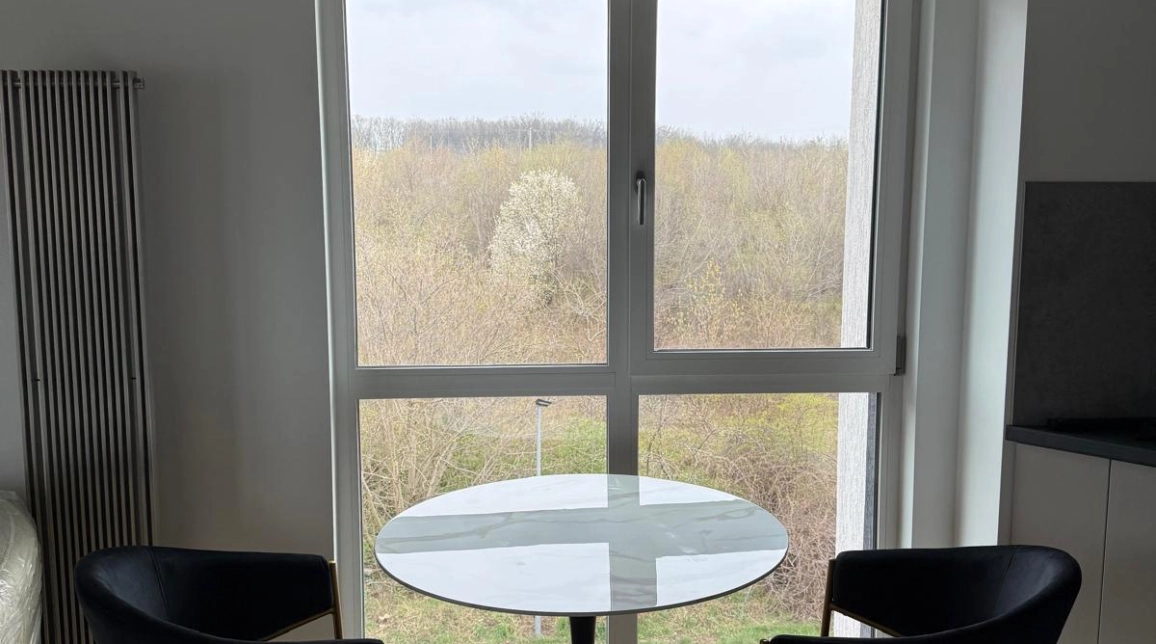 Oferta De vanzare apartament, 2 camere, open-space, 47 mp, Podul de Fier,  Little Texas Moara de Vant imagine 10