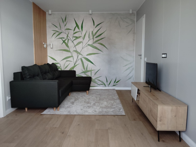 Apartament, 2 camere  semidecomandat,  46 mp, Tatarasi, de vanzare,  (Piata Chirila) 162386