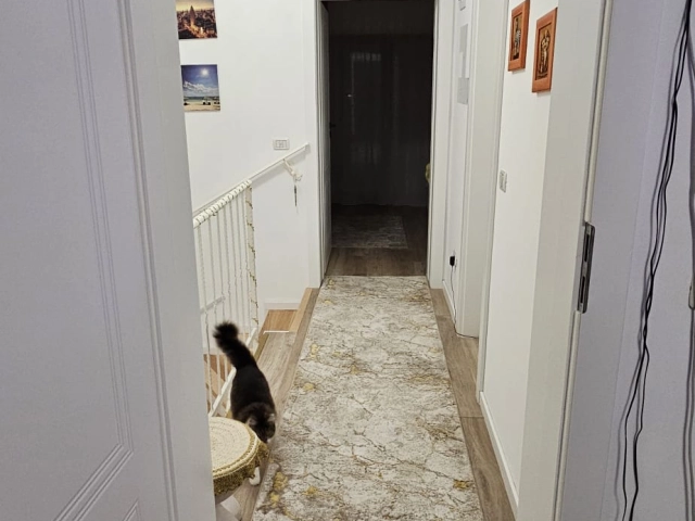 Apartament 3 camere - Valea Lupului