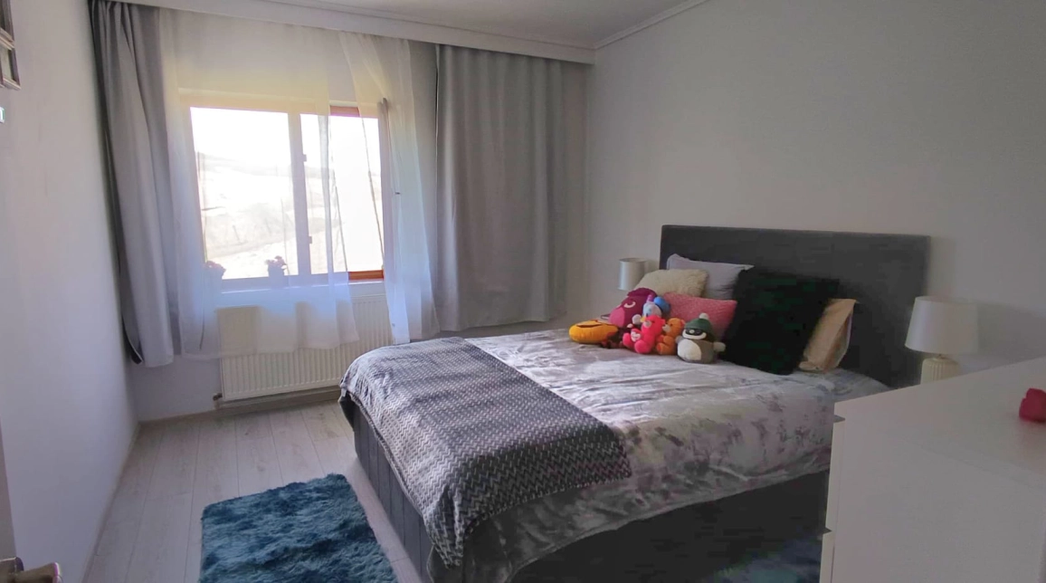 Oferta De vanzare casa, 5 camere, 333 mp, Aroneanu,  Langa Padure- cu  6381 teren  imagine 8