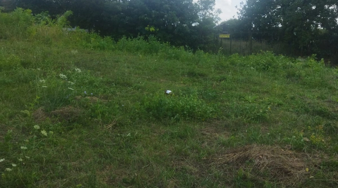 Oferta Teren de vanzare Barnova dupa Arca lui Noe 562 mp  imagine 6