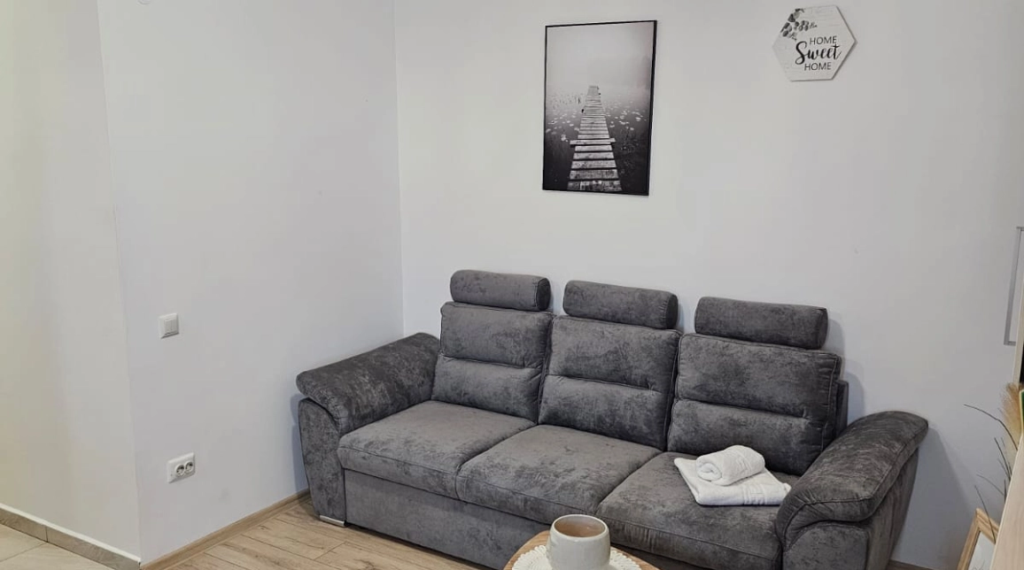 Oferta Pacurari apartament 50 mp, 2 camere, open-space, de inchiriat,  Petru Poni imagine 6