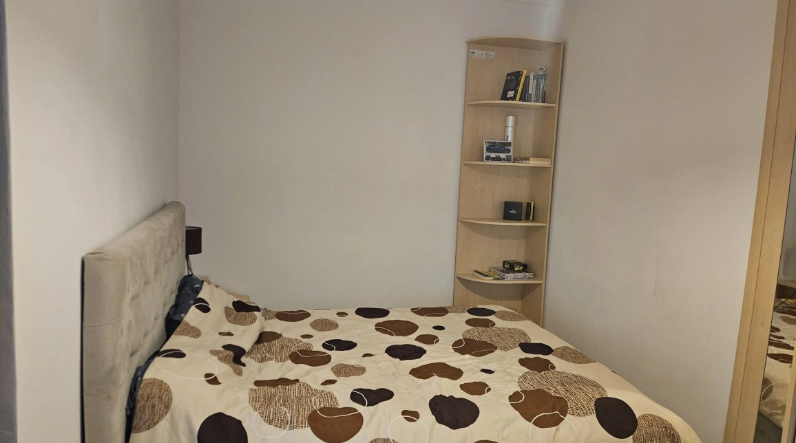 Oferta De vanzare apartament, 2 camere, nedecomandat, 50 mp, Alexandru cel Bun,  Liceul Miron Costin imagine 8