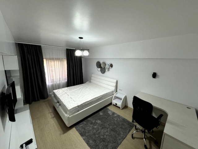Apartament, 1 camera  decomandat,  30 mp, Alexandru cel Bun, de vanzare,  (Piata Voievozilor) 163171