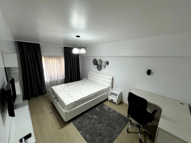 Apartament 1 camere - Alexandru cel Bun