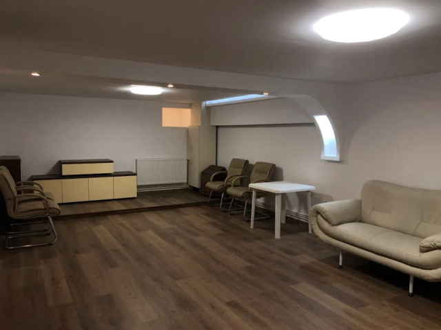 Spatiu comercial Nicolina Cardiomed 60mp  162543