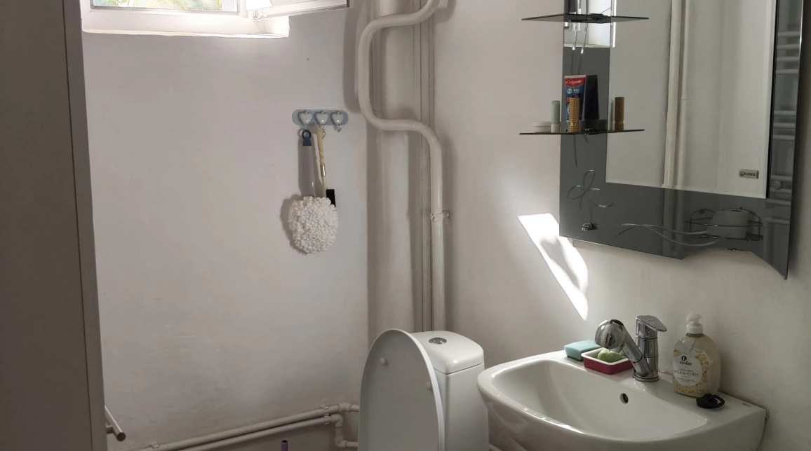 Oferta Apartament de vanzare, 1 camera, decomandat, 30 mp, Podu Ros,  Salubris imagine 12