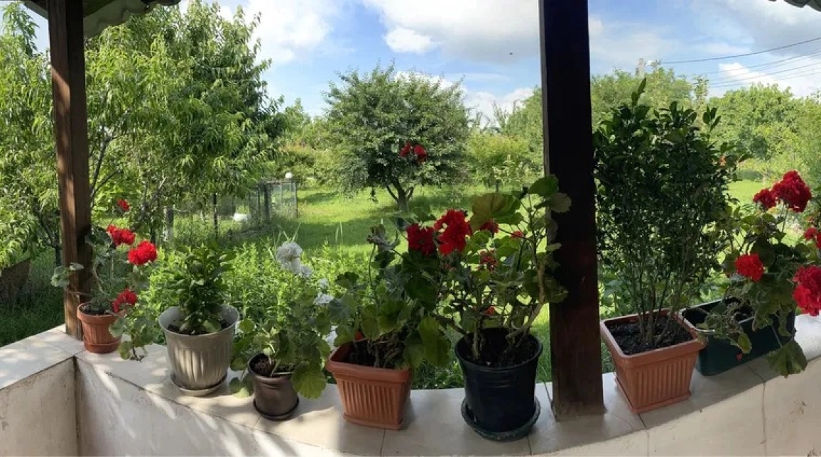 Oferta Anuntul nu mai este valabil imagine 3