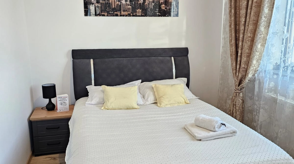 Oferta Pacurari apartament 50 mp, 2 camere, open-space, de inchiriat,  Petru Poni imagine 8
