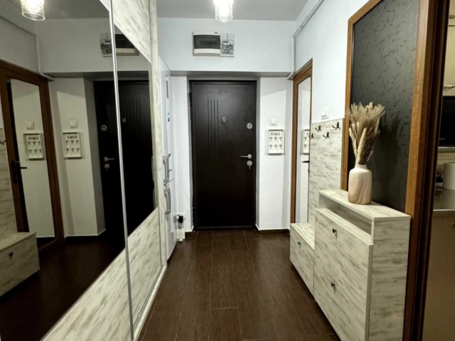 Apartament 1 camere - Alexandru cel Bun