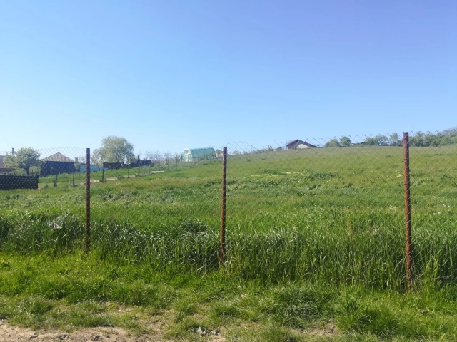 Apartament 0 camere - Dorobanti