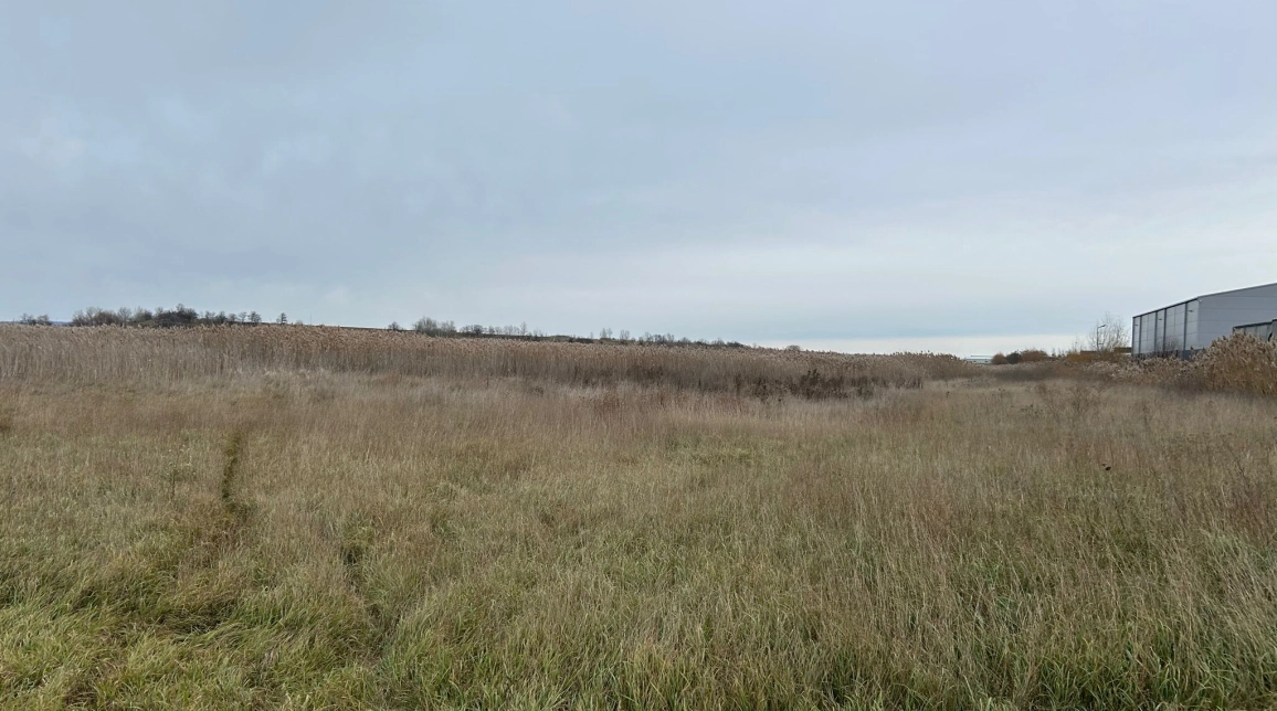 Oferta Teren de vanzare Tomesti 100m de DN - Trans Gor 9400 mp  imagine 2