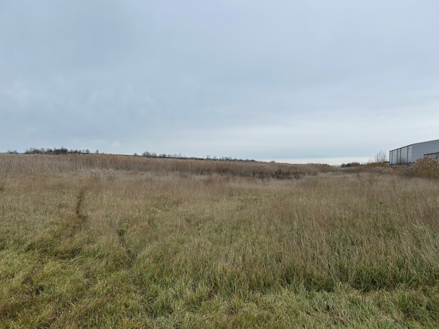 Teren  Tomesti 100m de DN - Trans Gor 9400mp  158795