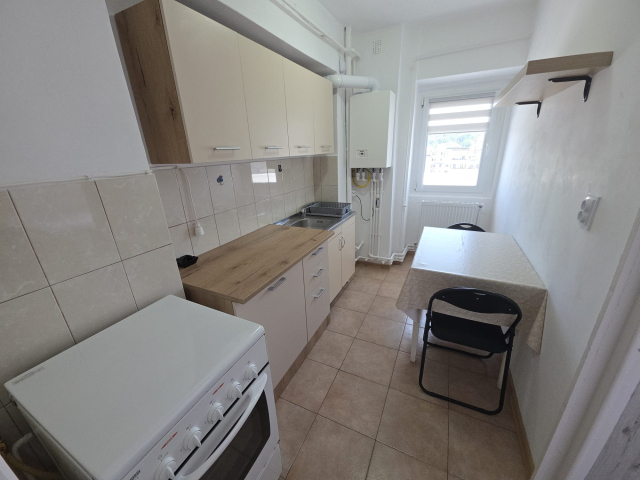 Apartament de inchiriat, 1 camera,  decomandat,  47 mp, Nicolina,  (Pizza Nico) 162715