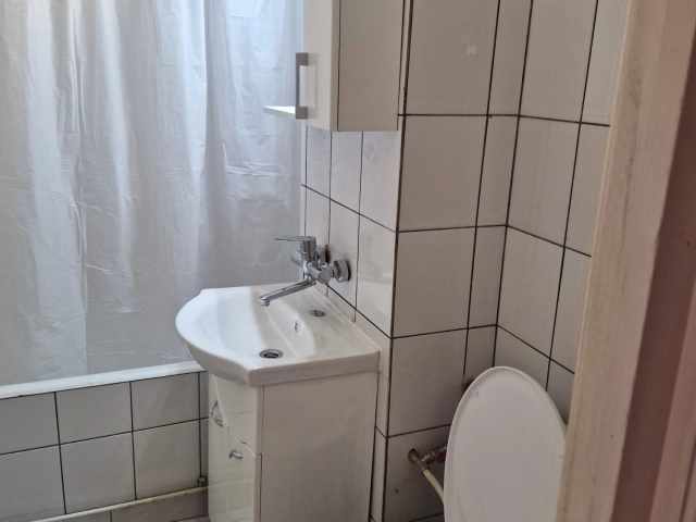 Apartament 1 camere - Central