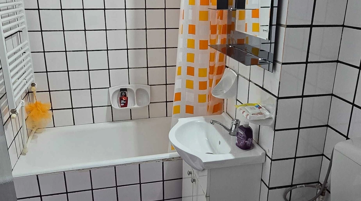 Oferta Apartament de inchiriat, 2 camere, decomandat, 55 mp, Tatarasi,  Doi Baiei imagine 5