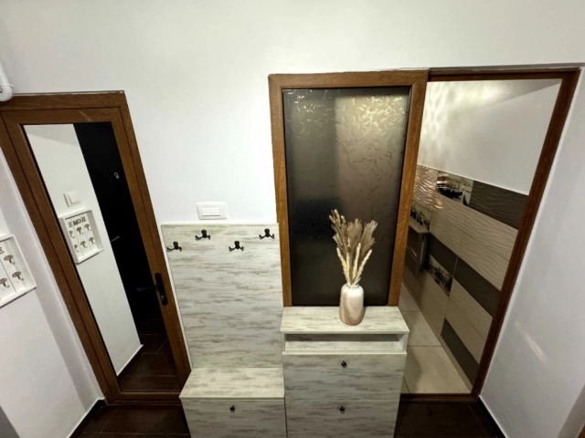 Apartament 1 camere - Alexandru cel Bun