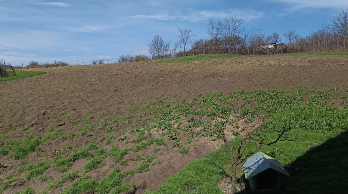 Oferta De vanzare casa, 5 camere, 333 mp, Aroneanu,  Langa Padure- cu  6381 teren  imagine 12