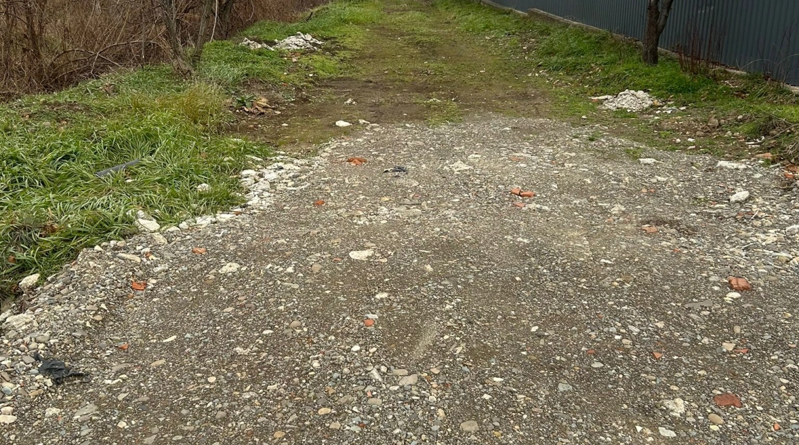 Oferta Teren de vanzare Tomesti 100m de DN - Trans Gor 9400 mp  imagine 3