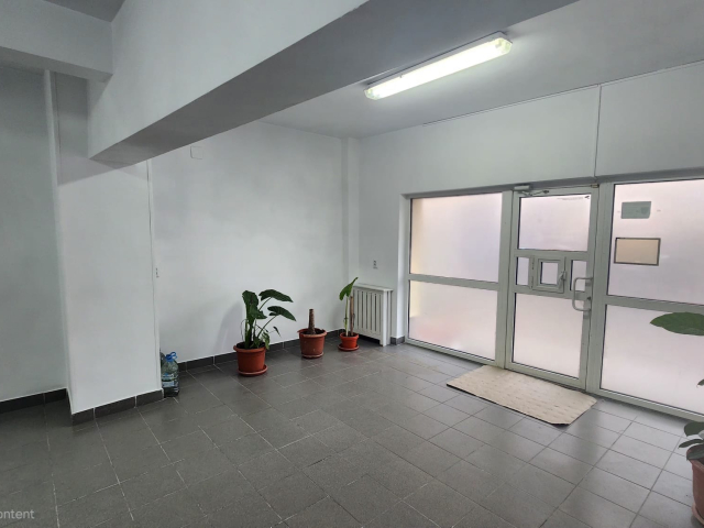 Spatiu comercial Nicolina La Doi Pasi 55mp  161478
