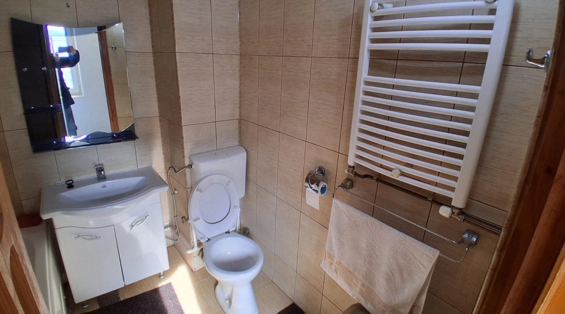 Oferta Apartament de inchiriat, 2 camere, decomandat, 56 mp, Pacurari,  Mega Image imagine 10