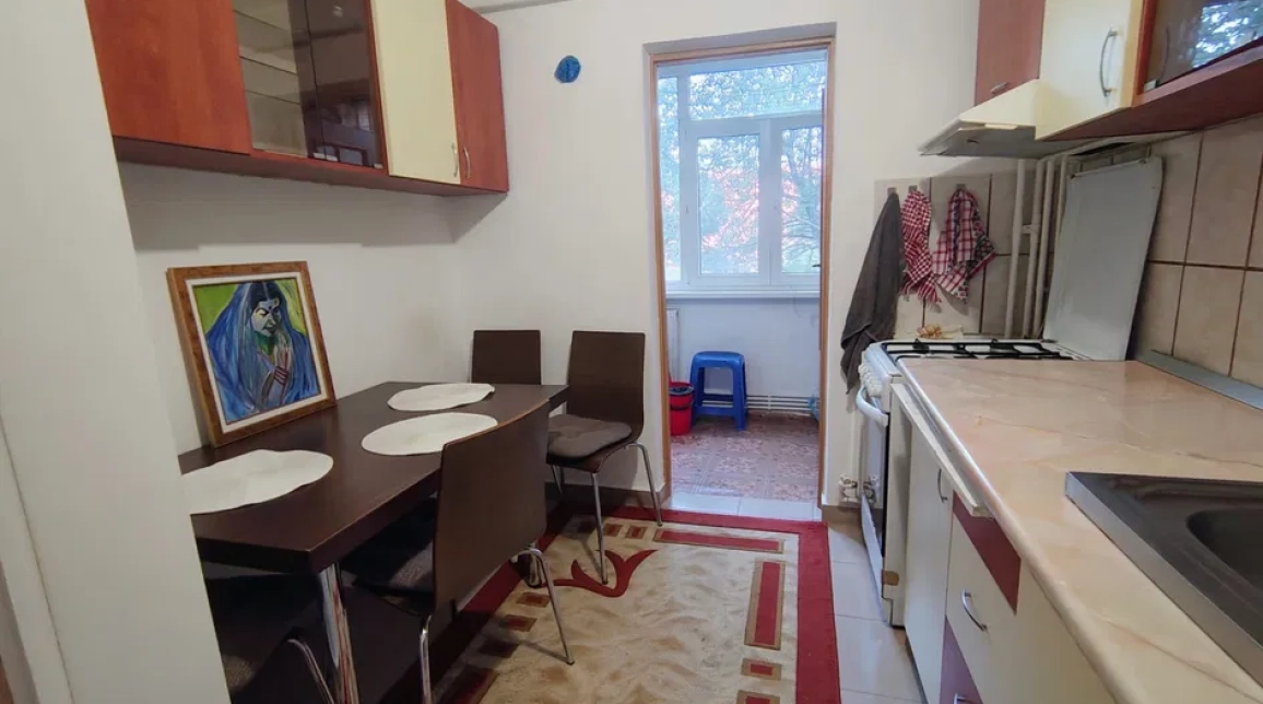 Oferta De inchiriat apartament, 1 camera, decomandat, 35 mp, Nicolina,  Scoala Vasile Conta imagine 4