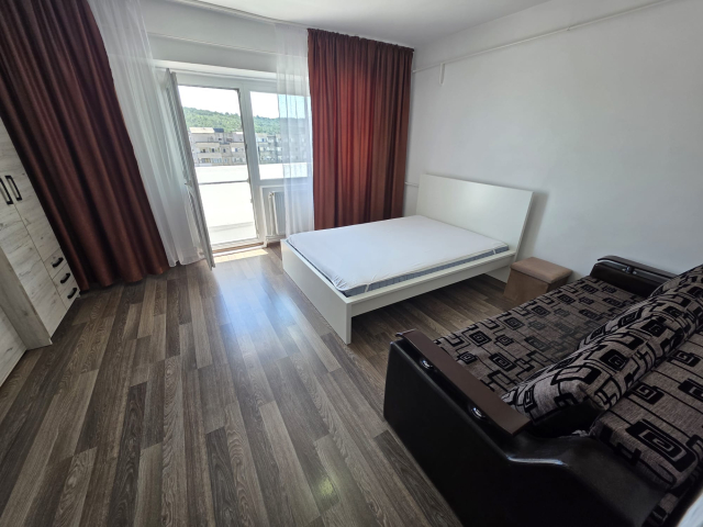 Apartament de inchiriat, 1 camera,  decomandat,  47 mp, Nicolina,  (Pizza Nico) 162715