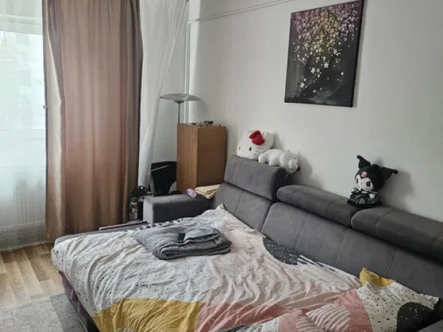 De inchiriat apartament, 1 camera,  decomandat,  30 mp, Tudor Vladimirescu,  (Gradinari) 162947