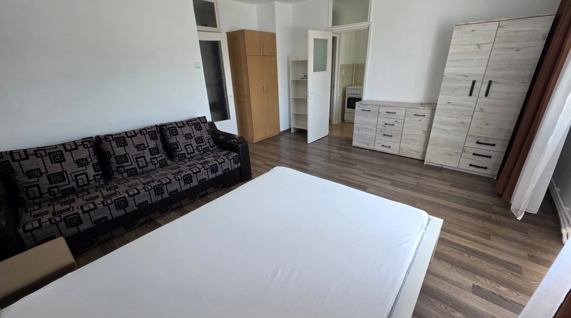 Oferta Apartament de inchiriat, 1 camera, decomandat, 47 mp, Nicolina,  Pizza Nico imagine 4