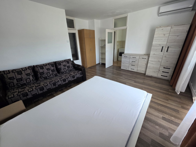 Apartament de inchiriat, 1 camera,  decomandat,  47 mp, Nicolina,  (Pizza Nico) 162715
