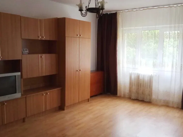 1 camera,  decomandat,  35 mp, de vanzare apartament in zona Centru,  (Podul de fier-Statia Padurii) 162618