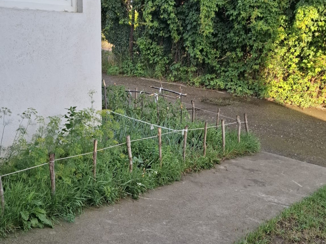 Girov apartament  62 mp, 2 camere,  decomandat, de vanzare,   163039