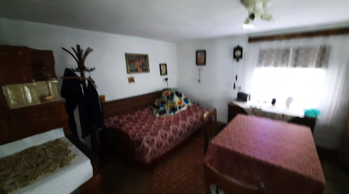 Oferta Casa de vanzare, 1 camera, 45 mp, Girov,  Gura Vaii imagine 13