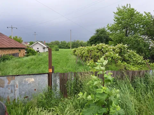 Teren  Dumbrava Rosie Izvoare 1806mp  159714