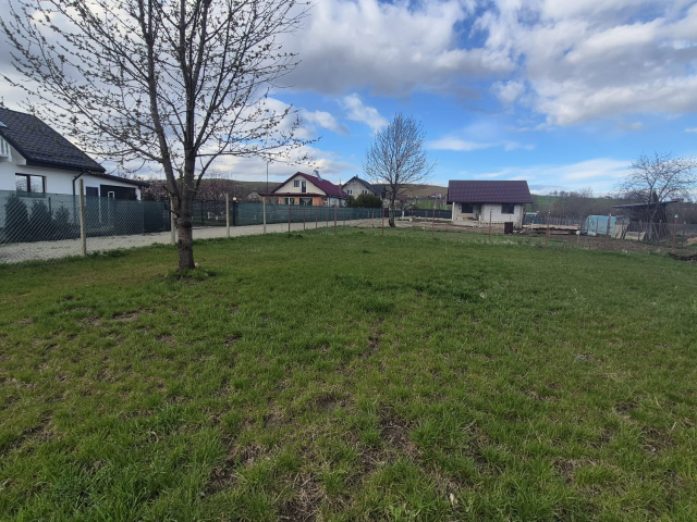 Teren  Turturesti  550mp  162774