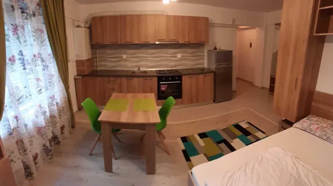 Oferta 1 camera, nedecomandat, 28 mp, de inchiriat apartament nou in zona Nicolina,  Lidl imagine 1