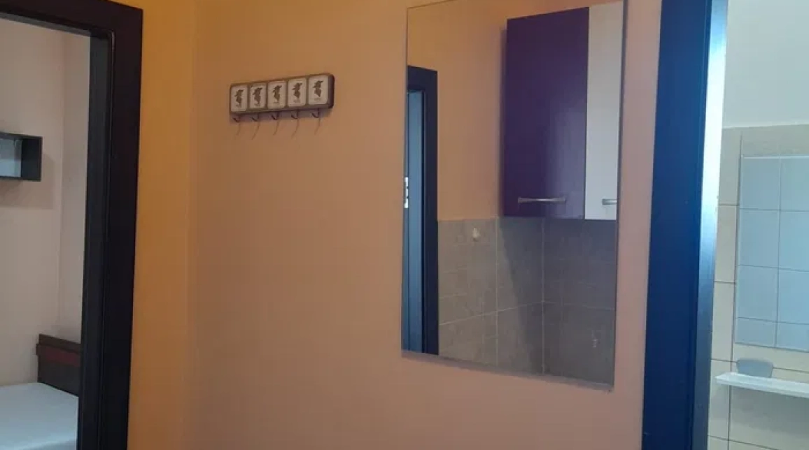 Oferta 1 camera, semidecomandat, 20 mp, de inchiriat apartament in zona Metalurgie,  Pod Metalurgiei imagine 6