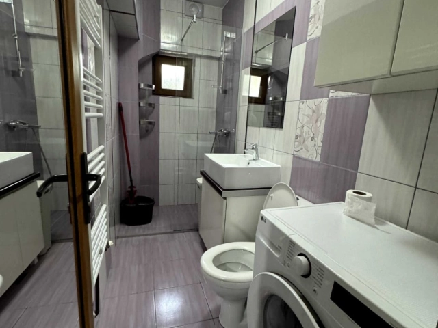Apartament 1 camere - Alexandru cel Bun