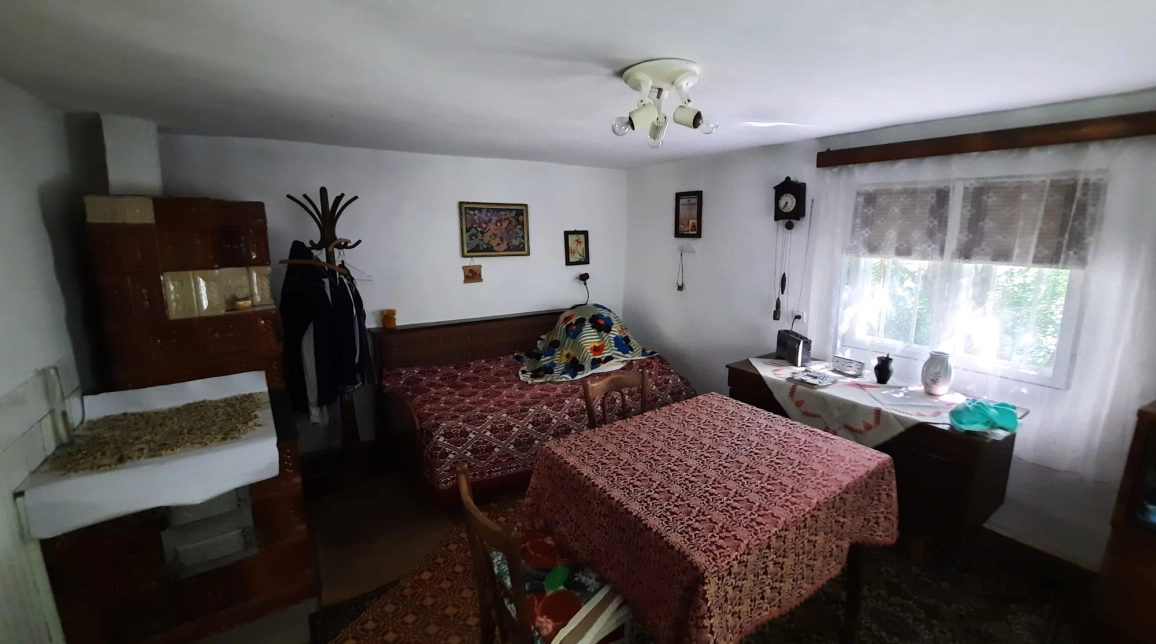 Oferta Casa de vanzare, 1 camera, 45 mp, Girov,  Gura Vaii imagine 12