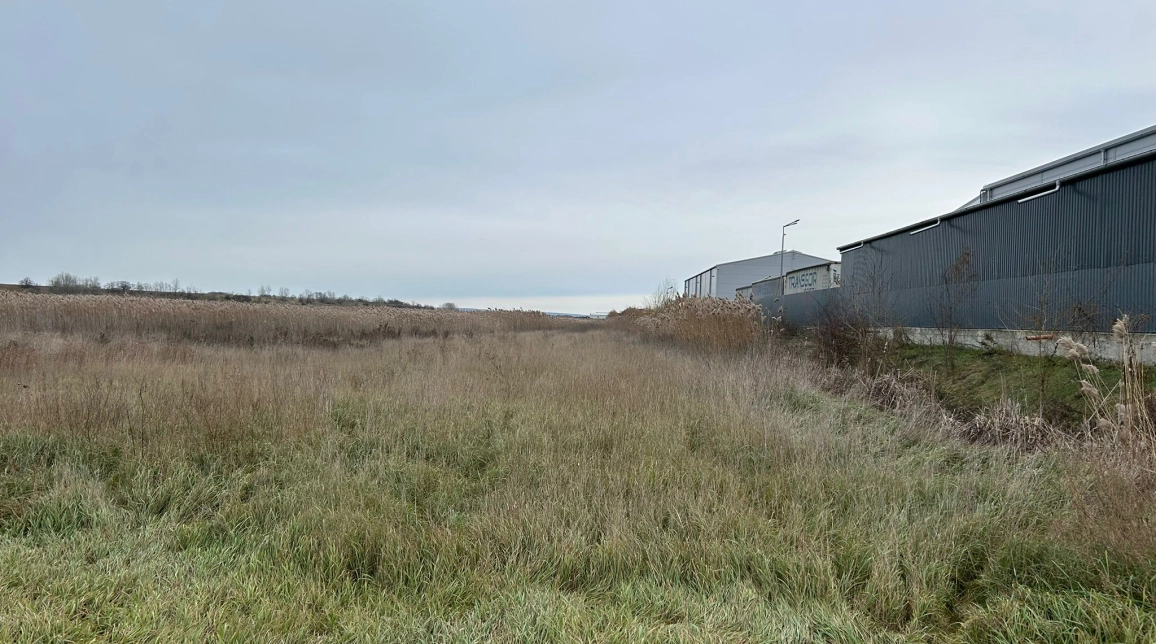 Oferta Teren de vanzare Tomesti 100m de DN - Trans Gor 9400 mp  imagine 6