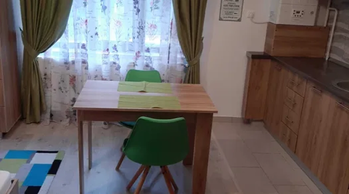 Oferta 1 camera, nedecomandat, 28 mp, de inchiriat apartament nou in zona Nicolina,  Lidl imagine 4