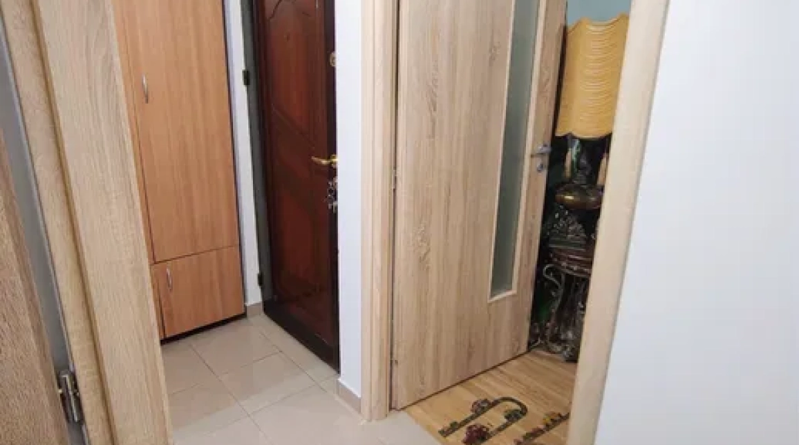 Oferta De inchiriat apartament, 1 camera, decomandat, 35 mp, Nicolina,  Scoala Vasile Conta imagine 3